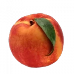 peach-supplier.png