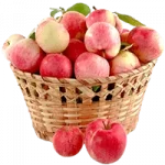 wholesale-apple-distributor.png