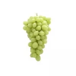 wholesale-grape.png