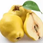 wholesale-quince.png