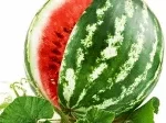 wholesale-watermelon.png