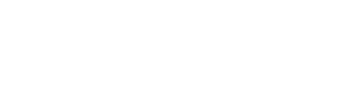 ES Financiado por la Unión Europea_WHITE Outline