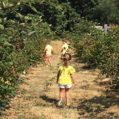Niños en frutales2